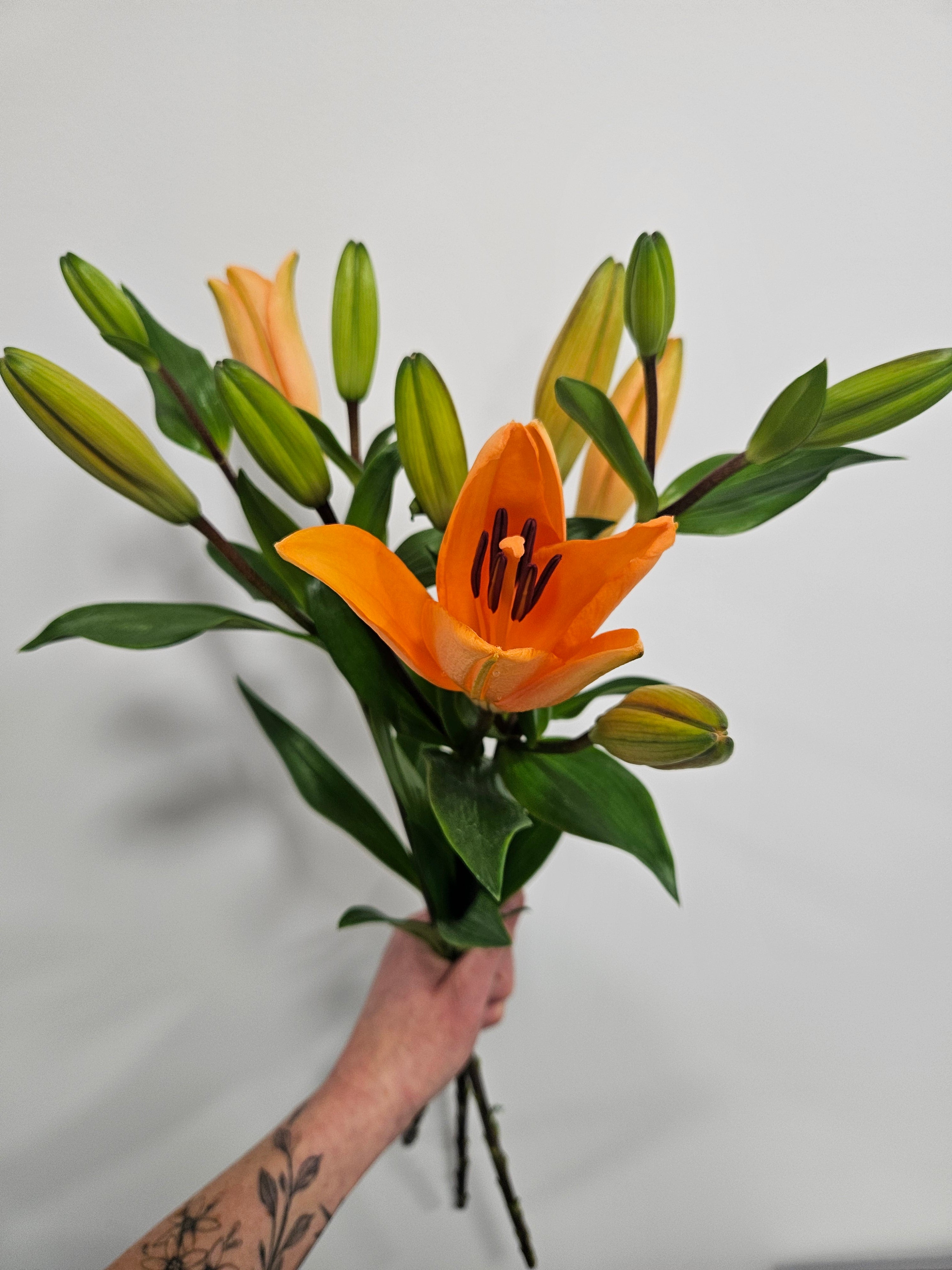 Lily Bunch