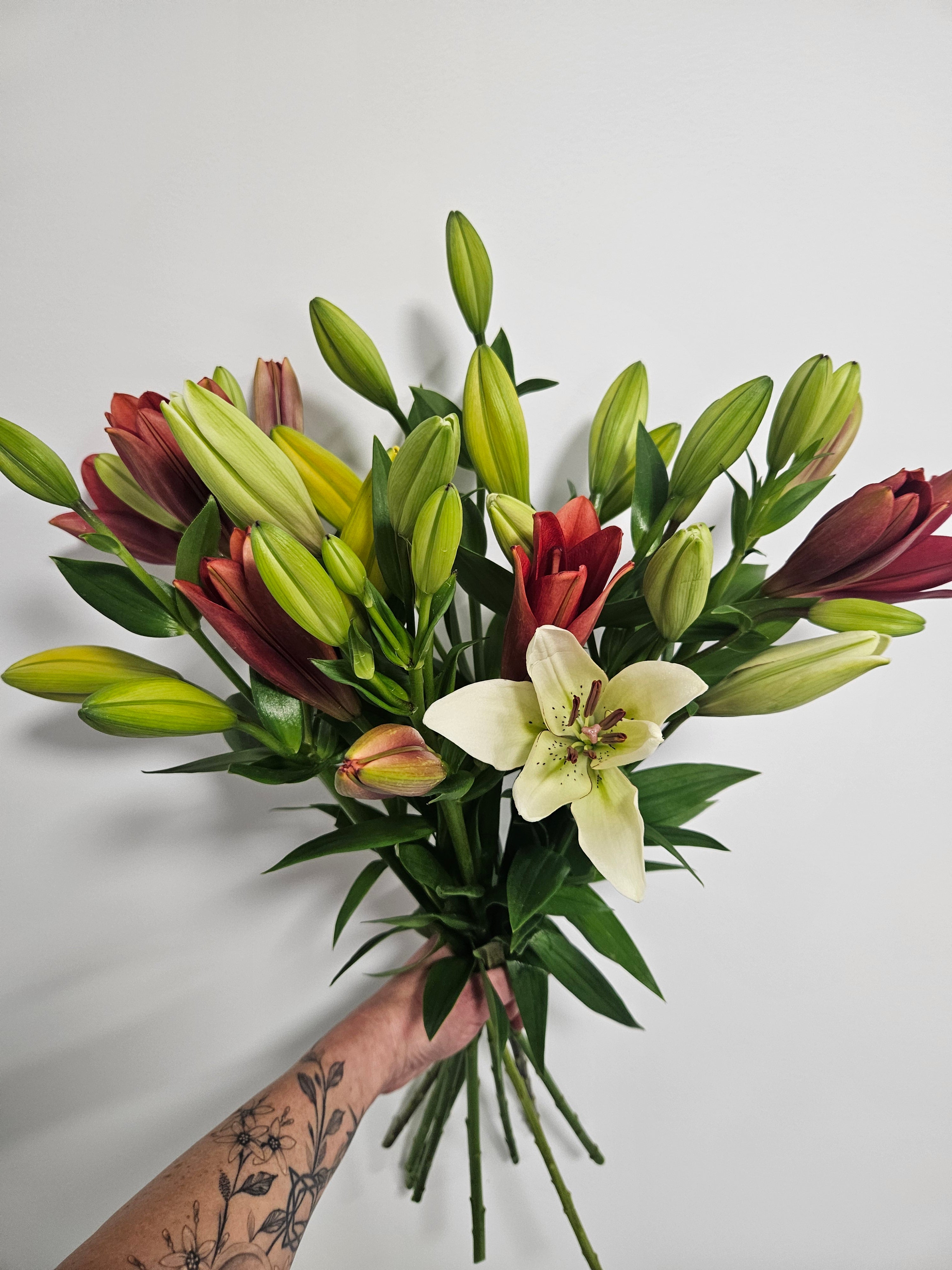 Lily Bunch