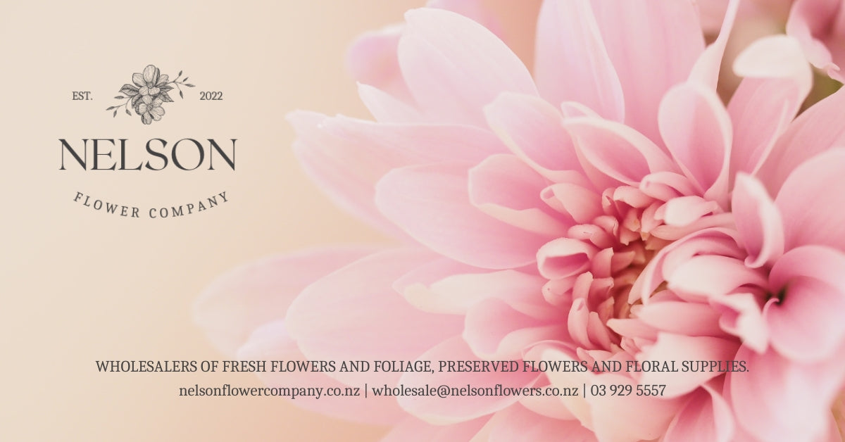 Nelson Flower Company Fresh, Dried and Preserved Flowers & Foliage