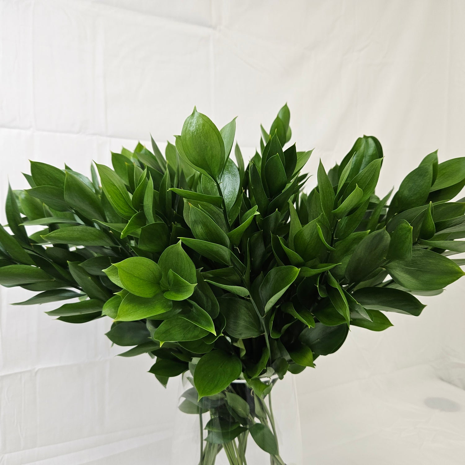 Greenery