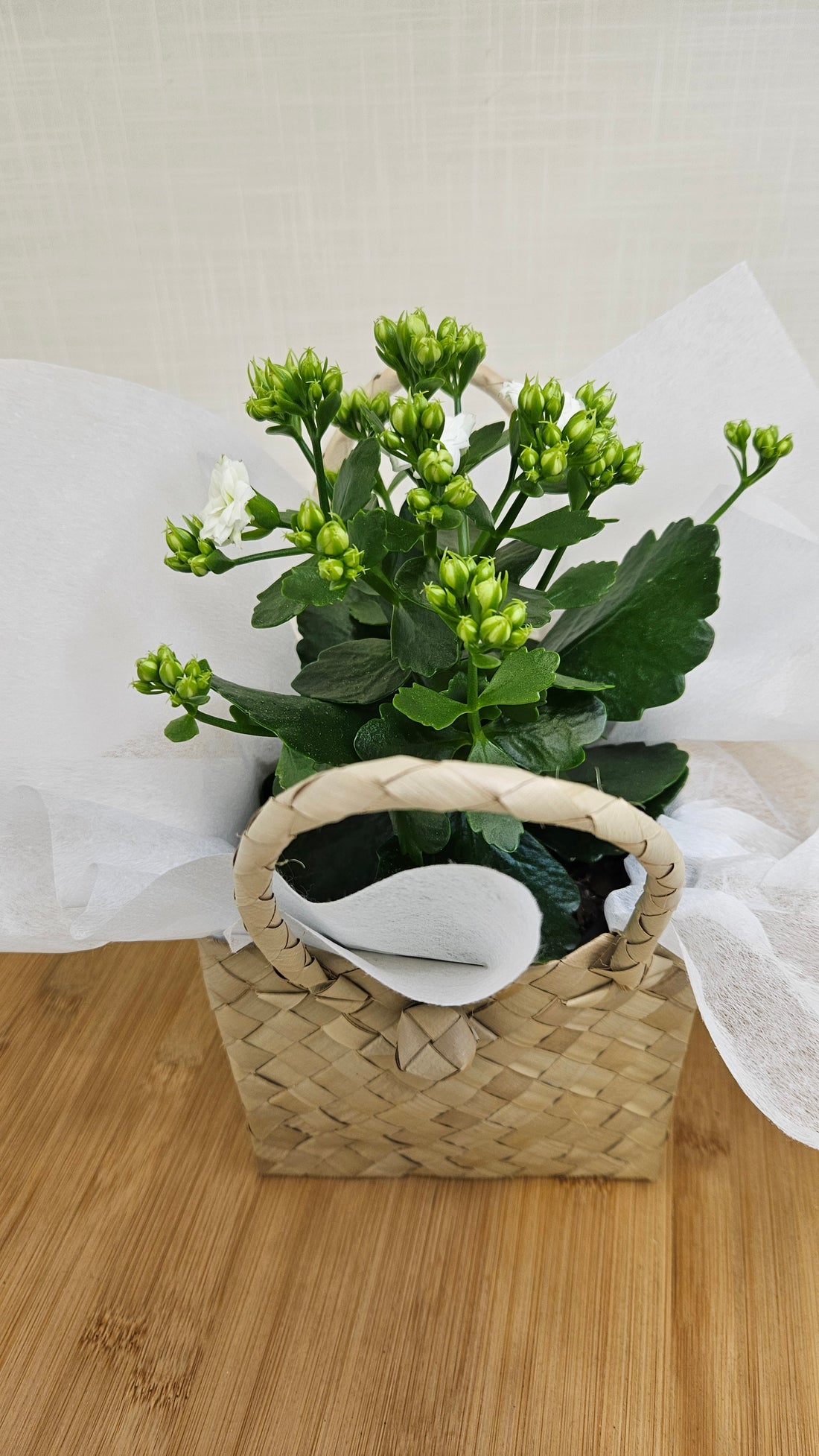 A box kete filled with an arrangement of vibrant yellow flowers and white tissue paper.