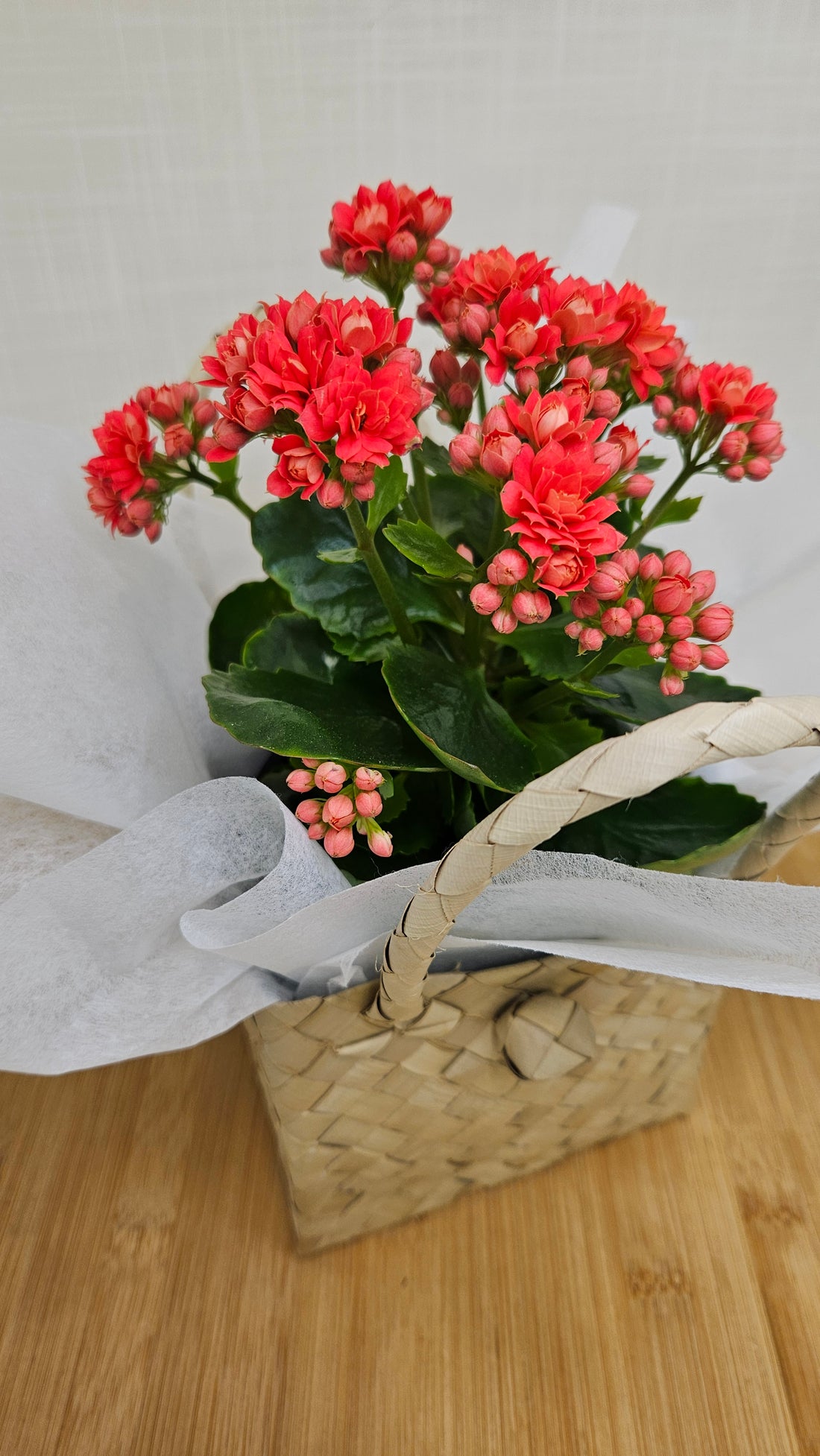 A box kete filled with an arrangement of vibrant orange flowers and white tissue paper.