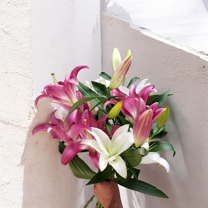 Lily Bunch