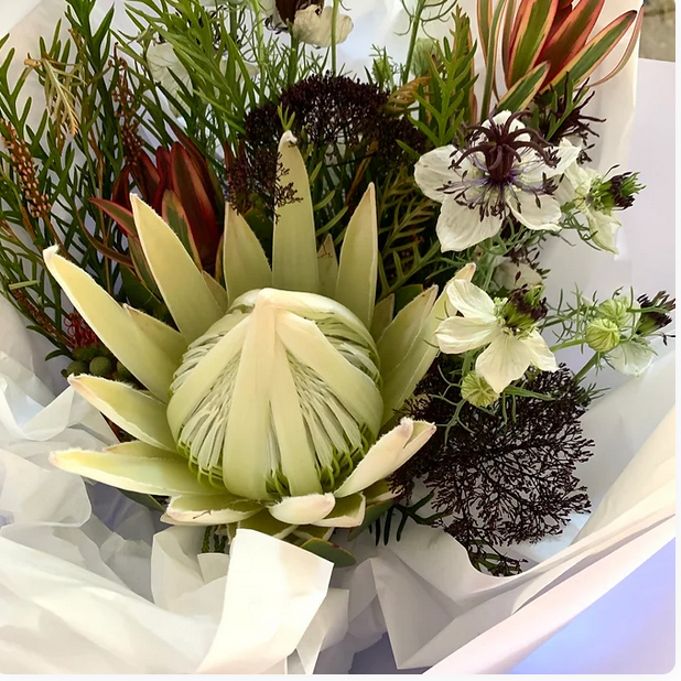 Let It Snow bouquet made with white protea flowers and green foliage, wrapped in white paper tied with a matching bow.