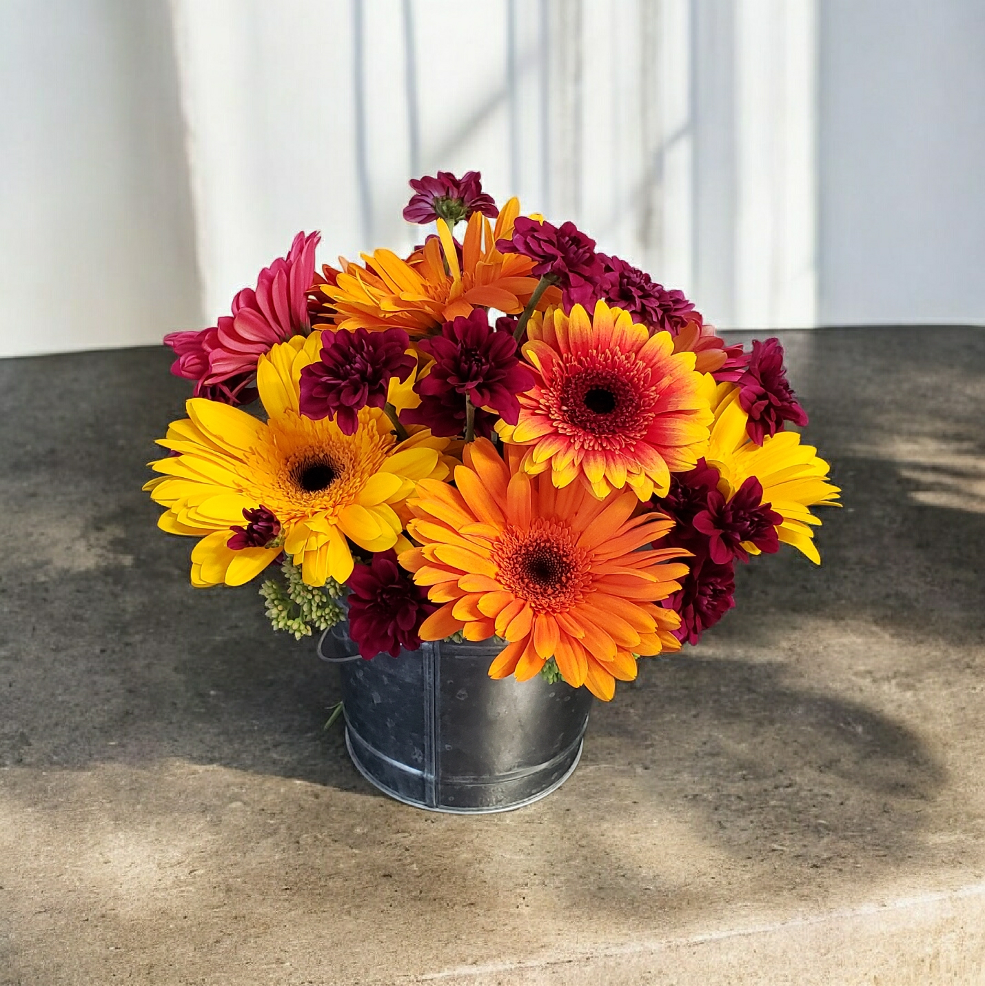 Sweet Daisy