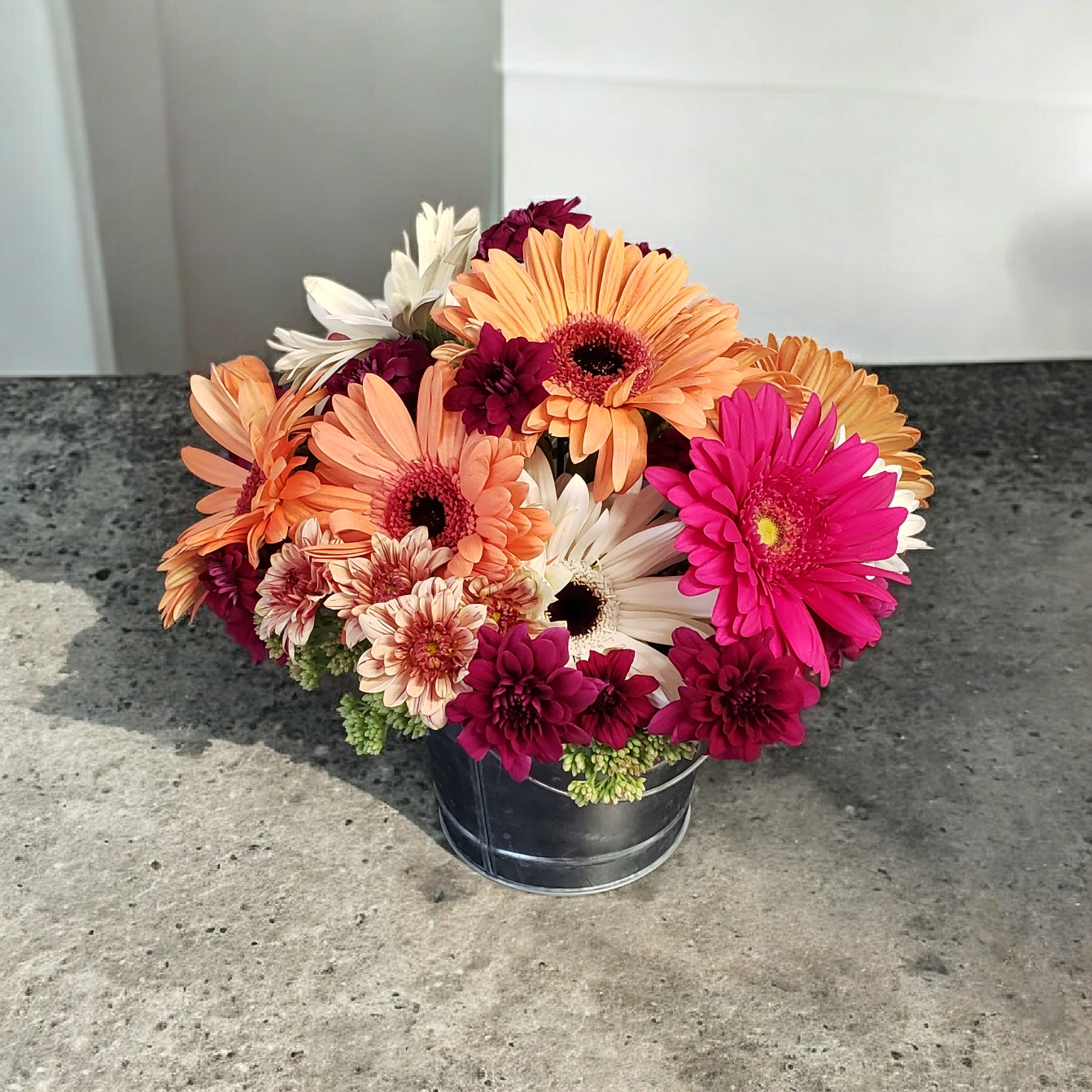 Sweet Daisy